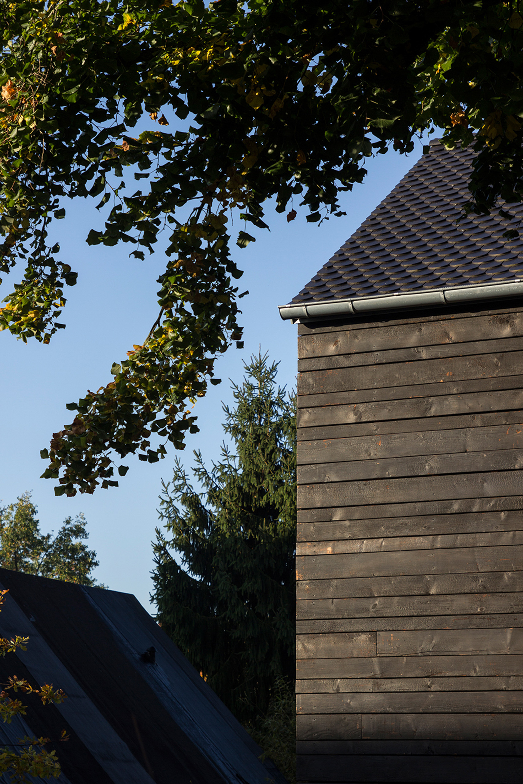 Katzwang-Detail_Dachrand